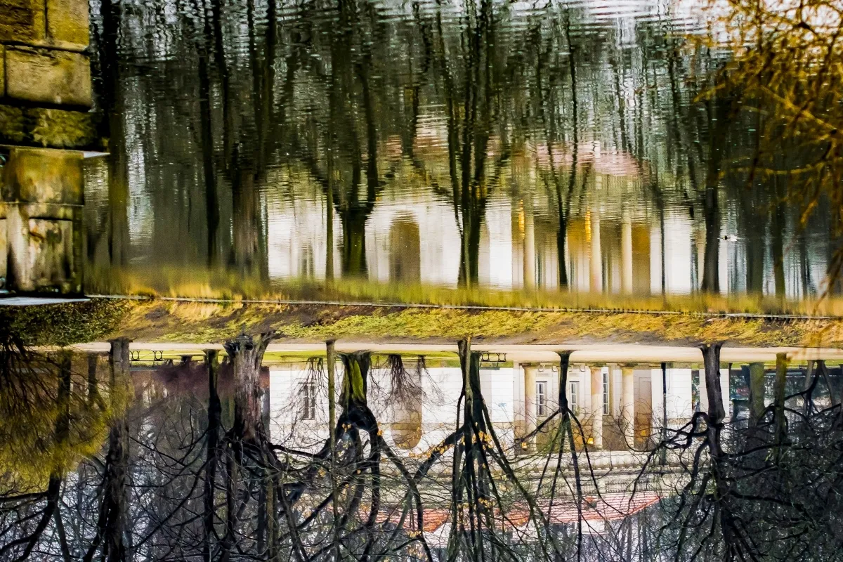 Trees and a yellow building mirrored in calm water